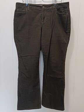 Ann Taylor LOFT Curvy Boot Pants Brown Corderoy